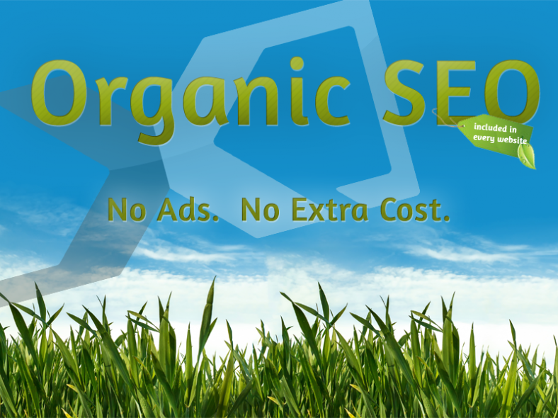 What IS Organic SEO