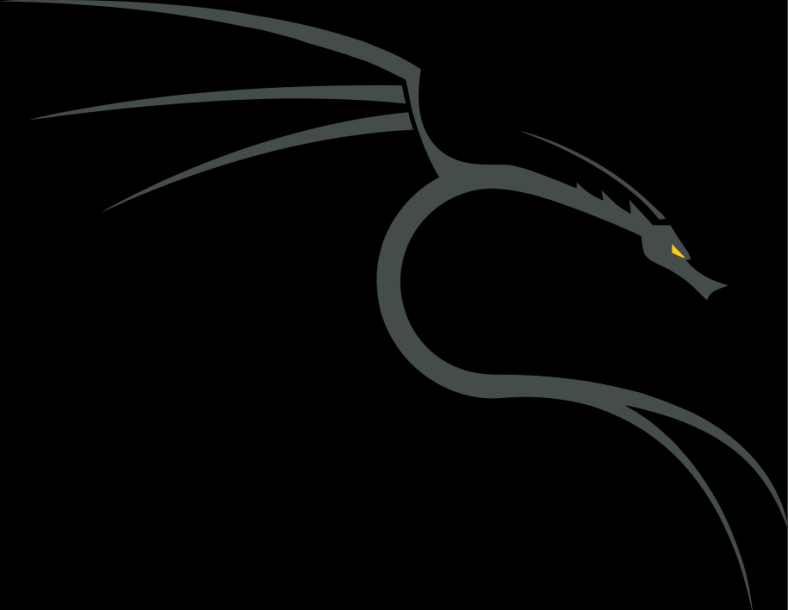 How To Install and Run Backtrack On Windows