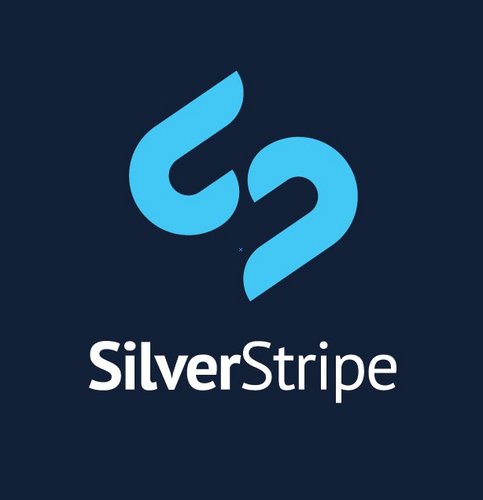 Silver Stripe