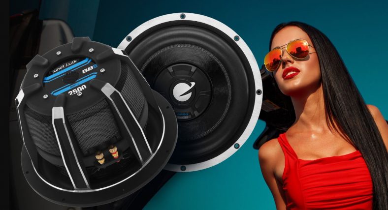 best subwoofers under $100
