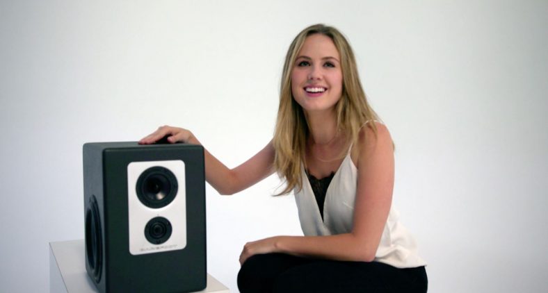 best subwoofers under $500