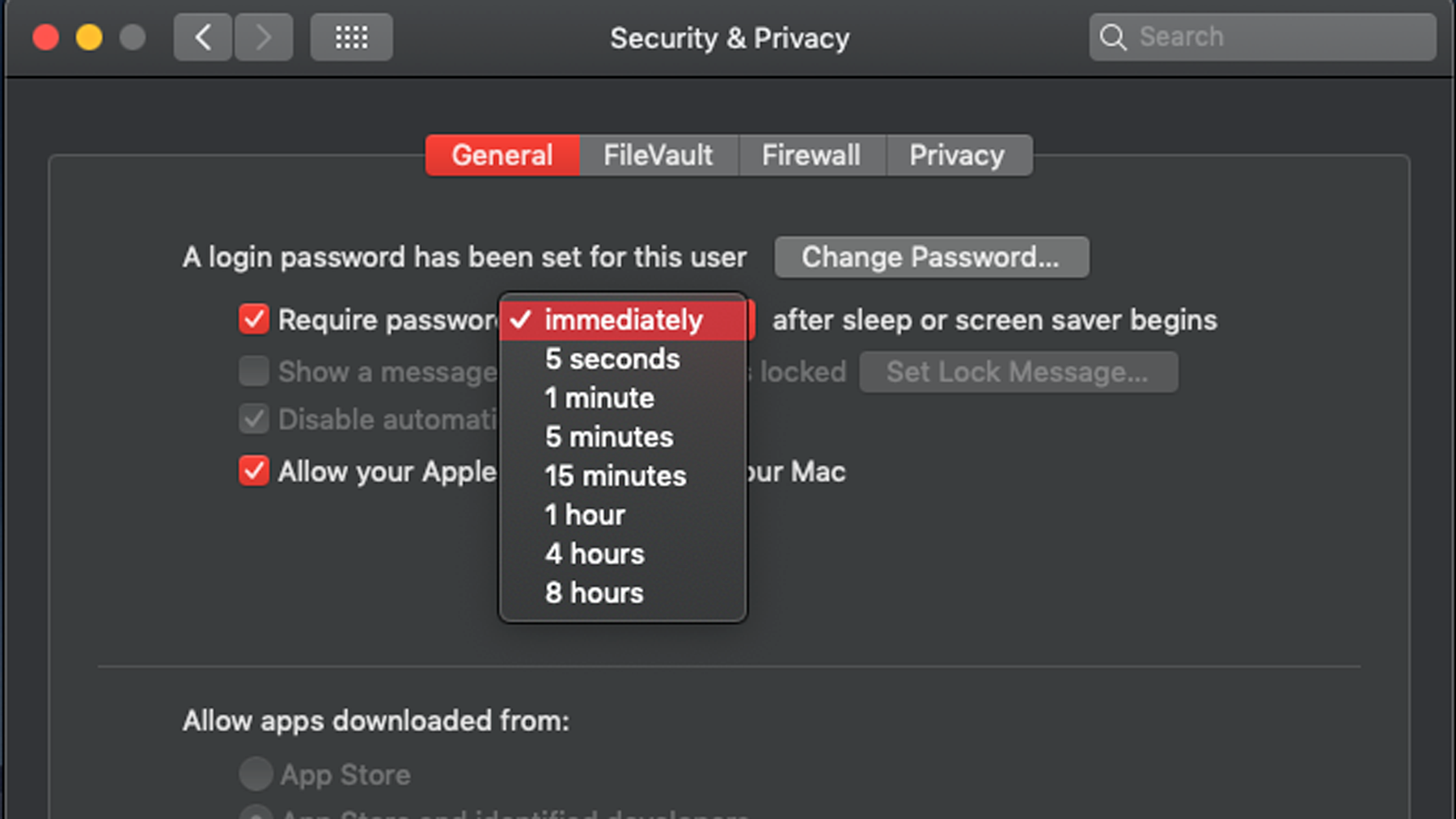 How to lock a Mac, Security & Privacy