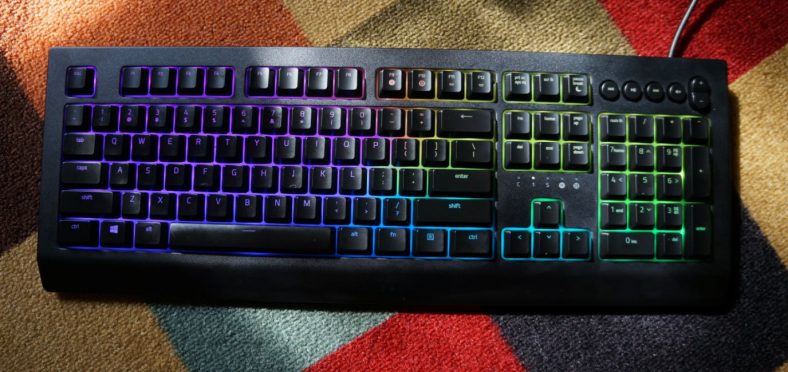 Razer Cynosa V2 Review