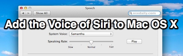 use siri for text to speech mac os use siri for text to speech mac os