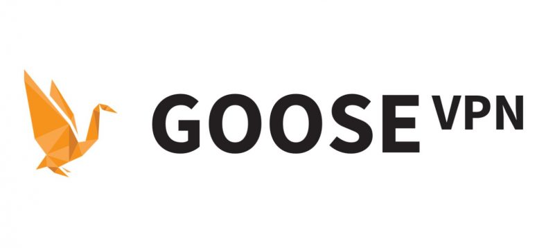 Goose VPN review