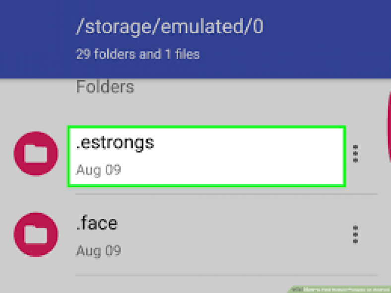 How to Find the Hidden Files on Your Phone or PC