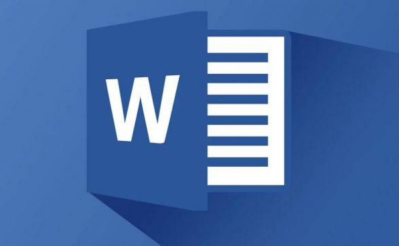 How to insert ‘Bib­li­og­ra­phy/Cita­tions’ in MS Word