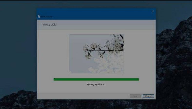 How to Convert a PDF File in to a Picture on Windows PC
