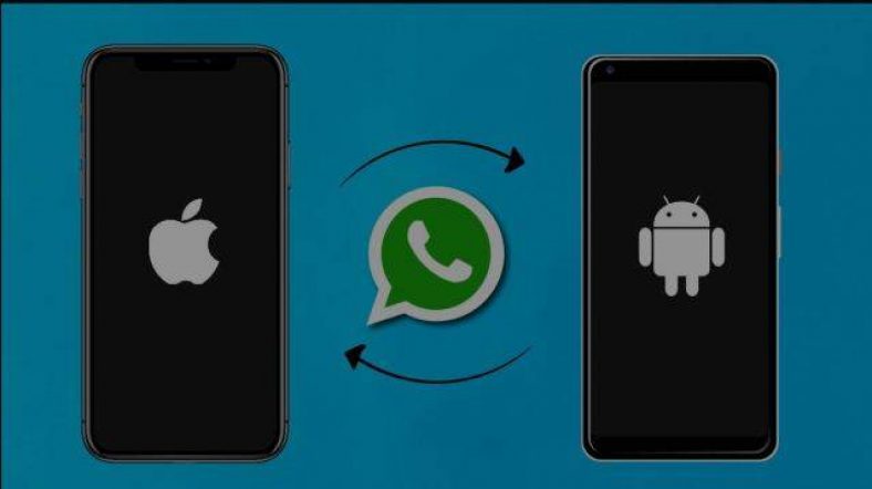How to Move WhatsApp Data From Android to iOS