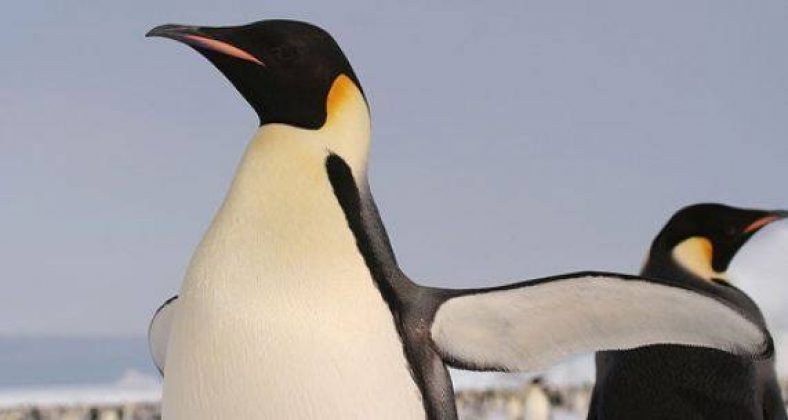 How to Set or Change Hostname in Linux