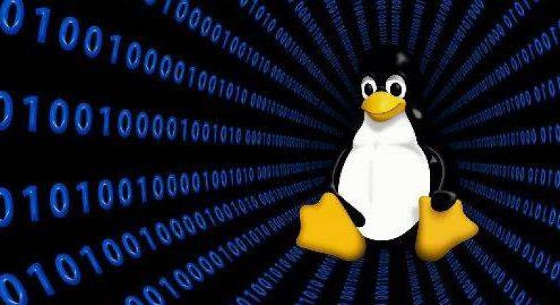 How to add Linux apps to Windows PC