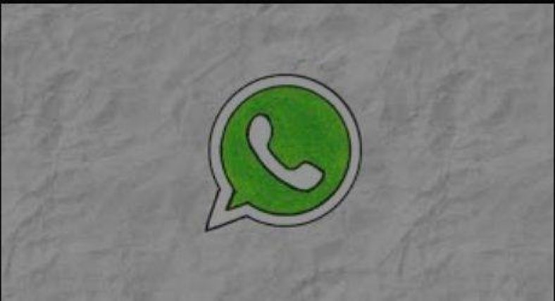 How to delete unwanted files and manage WhatsApp storage from Android and iPhone