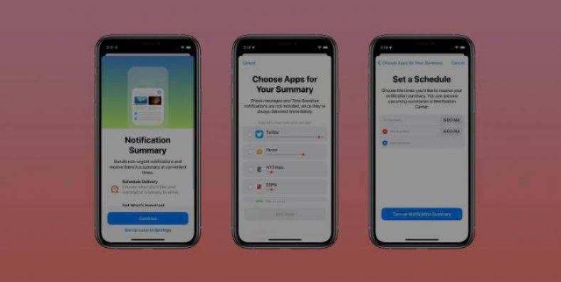 How to set up Summary of Notification in iOS