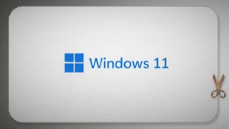 How to turn off in Windows 11 Snipping Tool with using the Registry Editor