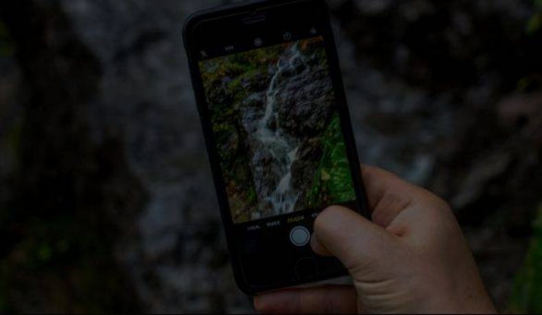 Guide: Sharing Family Photos on Android Phones