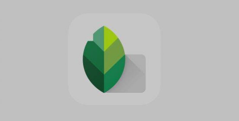 How to Use Snapseed to Change Background Color of a Photo