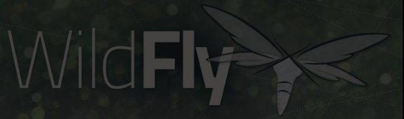 How to Install Wildfly application server on Ubuntu 20.04