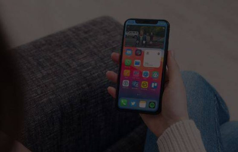 How to Use iPad’s PiP Mode on iPhone