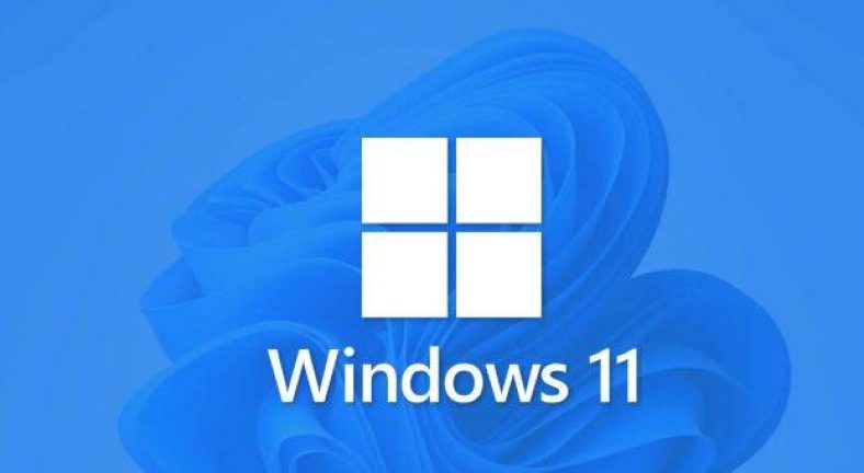 How To Turn Off Animations in Windows 11 PC