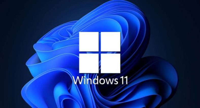 How to Remove the System Requirements Not Met Watermark on Windows 11