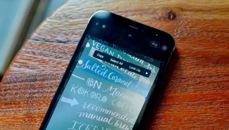 How to Turn Off Live Text Feature in iPhone and iPad