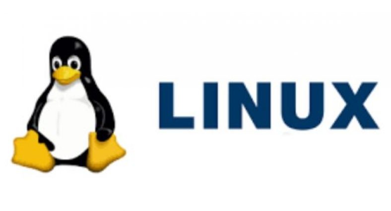 How to Use Linux cut Command