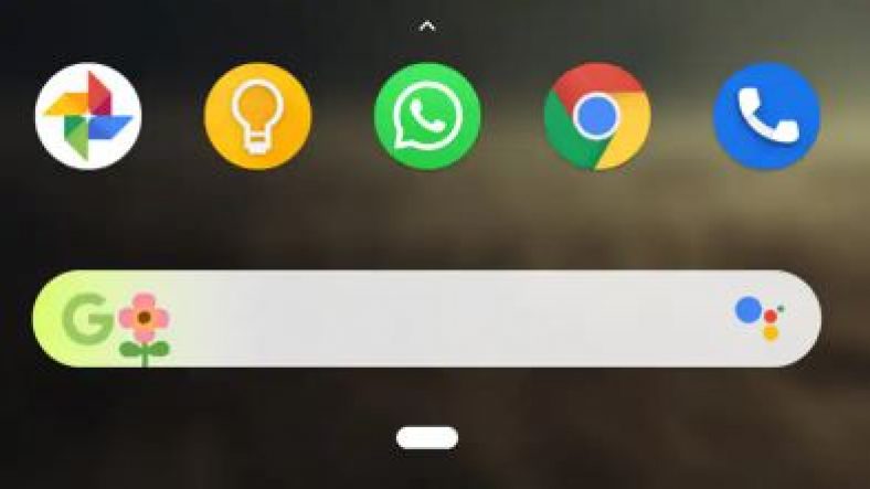 How to Enable Doodles for Google Search Widget