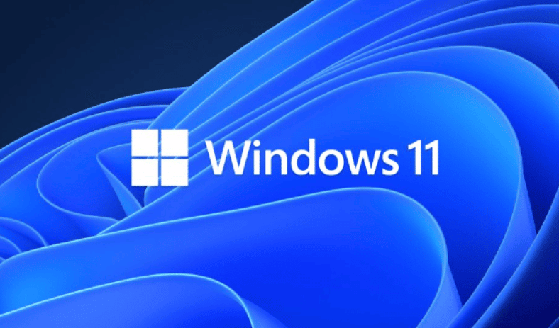 How to enable hidden camera privacy indicator on Windows 11