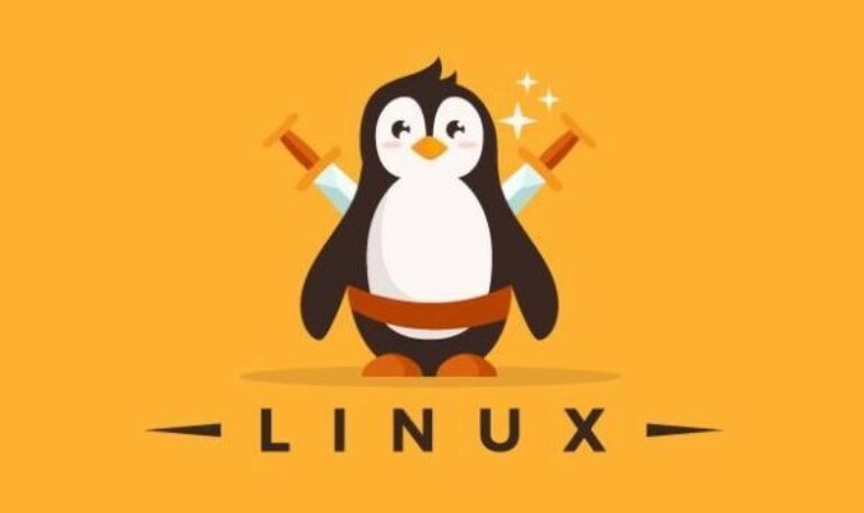 How to use arping Command on Linux