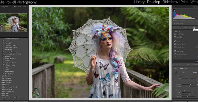 How to Blur Background Photo In Lightroom