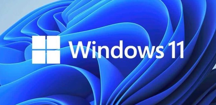 How To Convert Disk From Dynamic to Basic in Windows 11/10