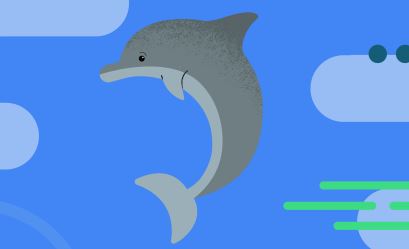 Chrome vs Dolphin Review and compare