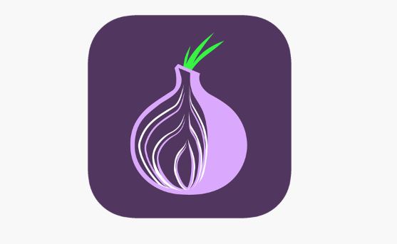 tor browser vs firefox