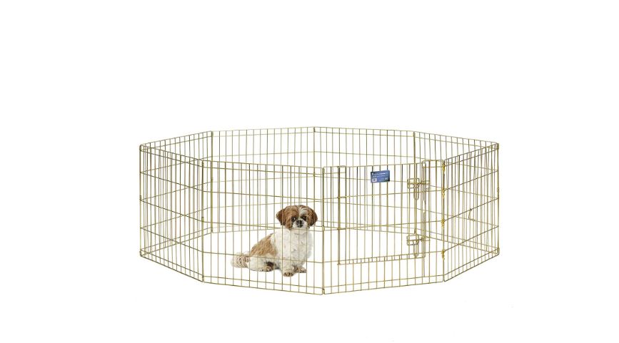 Best Dog Pens