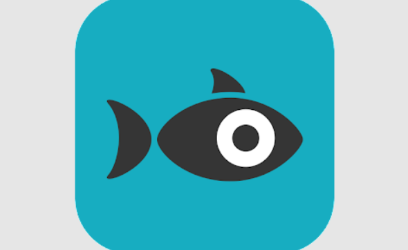 snapfish vs freeprints