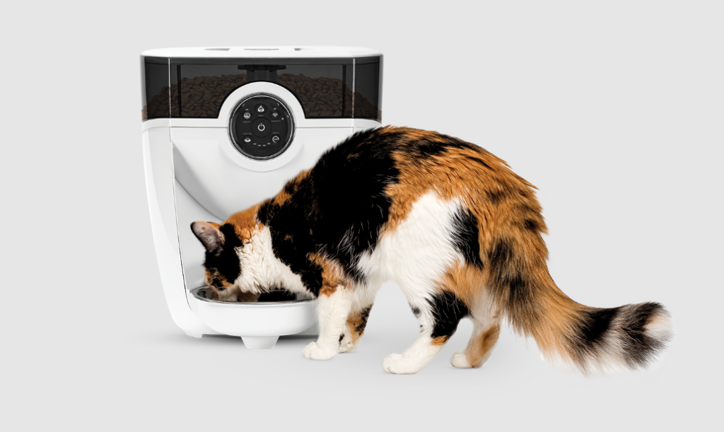 Best Automatic Cat Feeders