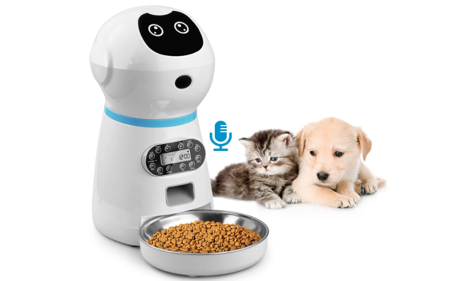 Best Automatic Cat Feeders