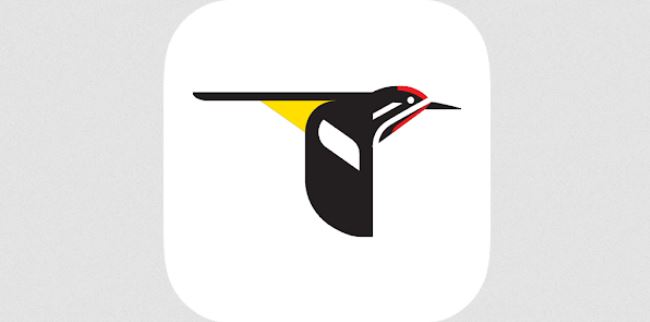 Best eBird Alternatives