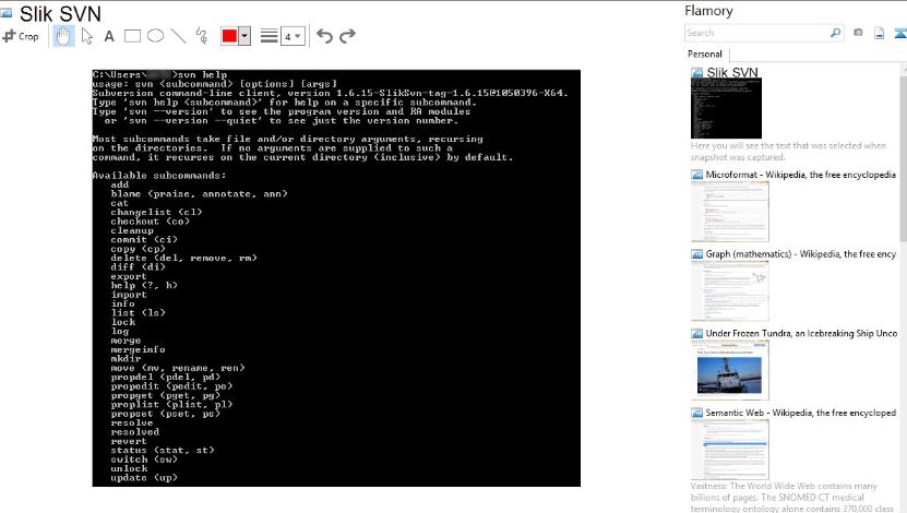 Best VisualSVN Server Alternatives
