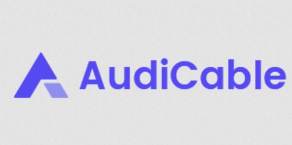 Best AudFree Spotify Music Converter Alternatives