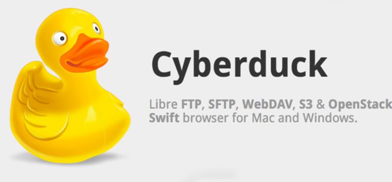 Best NetDrive Alternatives