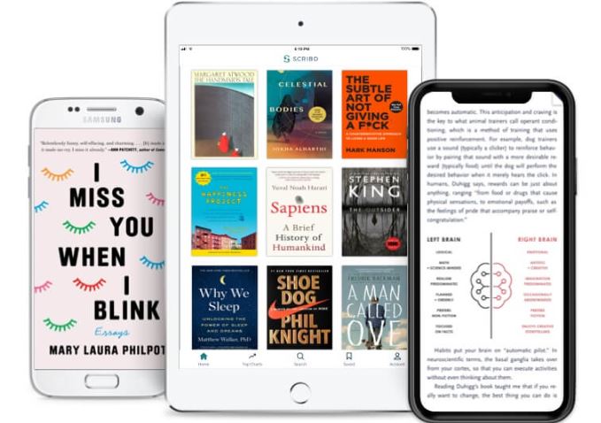 Kobo Plus vs Scribd