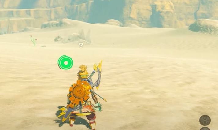 How To use Molduga Jaw in Tears of the Kingdom