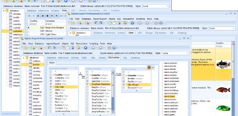 Best Relational Databases