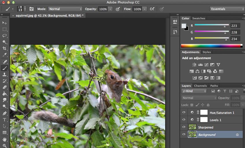 Adobe Photoshop CC review