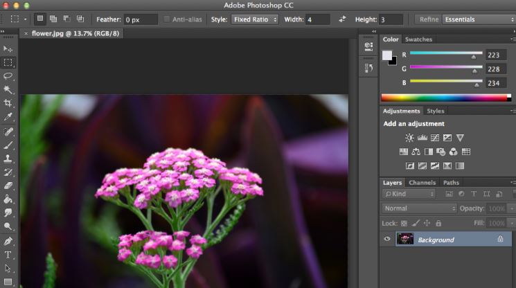 Adobe Photoshop CC review