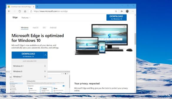 Microsoft Translator review