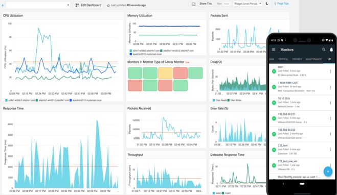 Uptime Robot review