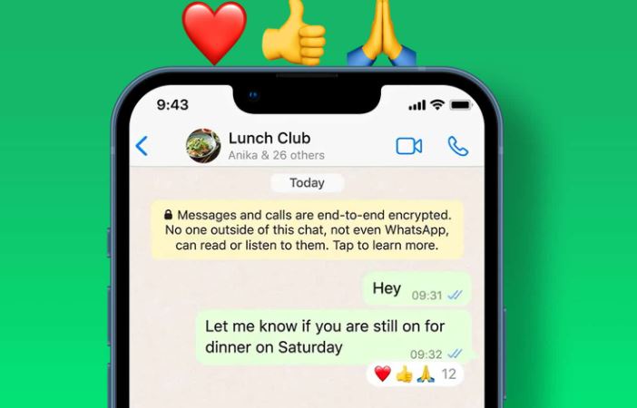 How to use WhatsApp message reactions on Phone and PC