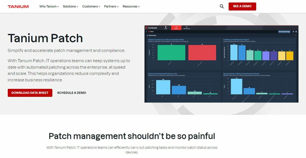 Best Patch Management Software